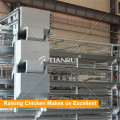 Broiler feeding equipment/automatic broiler feeding system